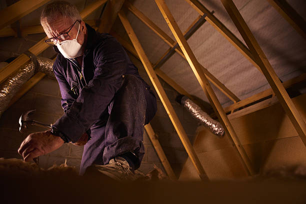Best Types of Insulation in Grand Bay, AL